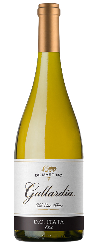 Gallardia Del Itata Old Vine White Gallardia Del Itata Old Vine White
