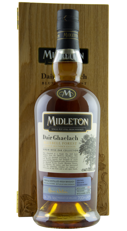 Midleton Dair Ghaelach Bluebell Forest Tree 5 Midleton Dair Ghaelach Bluebell Forest Tree 5