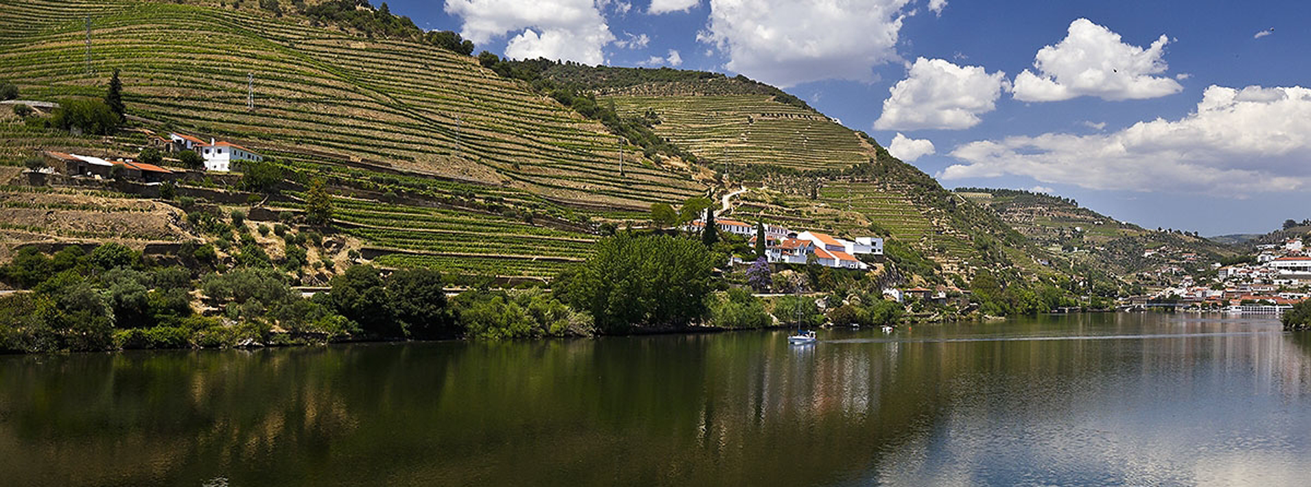 Image of the Douro Valley, La Rosa